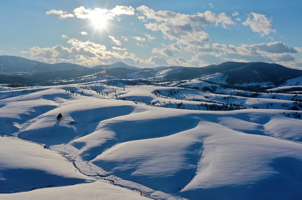 ЗИМНИЕ КАНИКУЛЫ